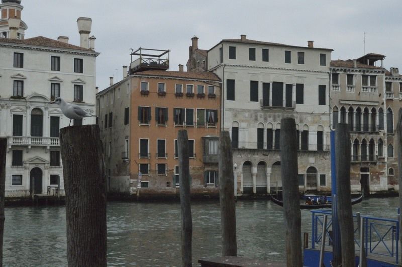 Locanda Leon Bianco On The Grand Canal Venedig Eksteriør billede